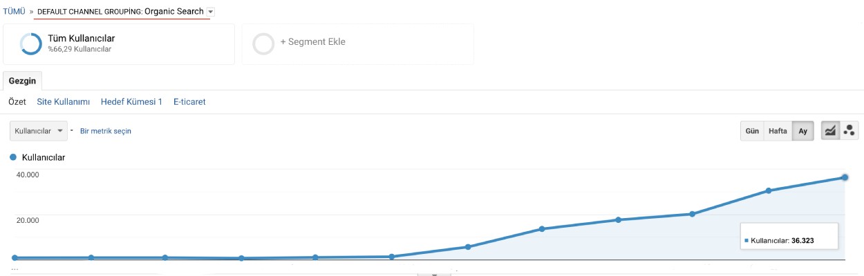 SEO Ajansı - Organik Trafik Gelişimi